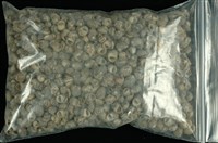 藏品(小石蜑螺)的圖片